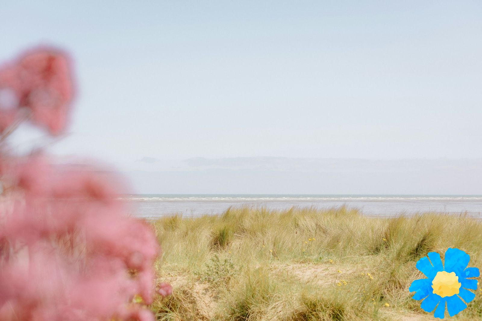 annie-spratt-6PKw0t-wm0M-unsplash