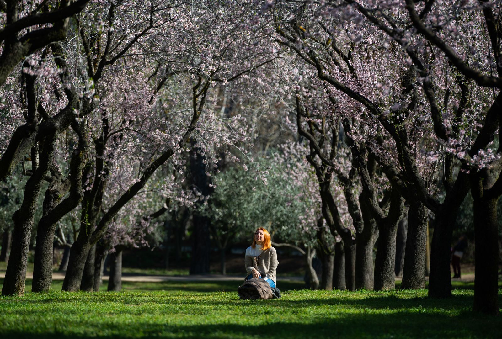 Prescribir naturaleza, una terapia que comienza a calar entre los médicos españoles