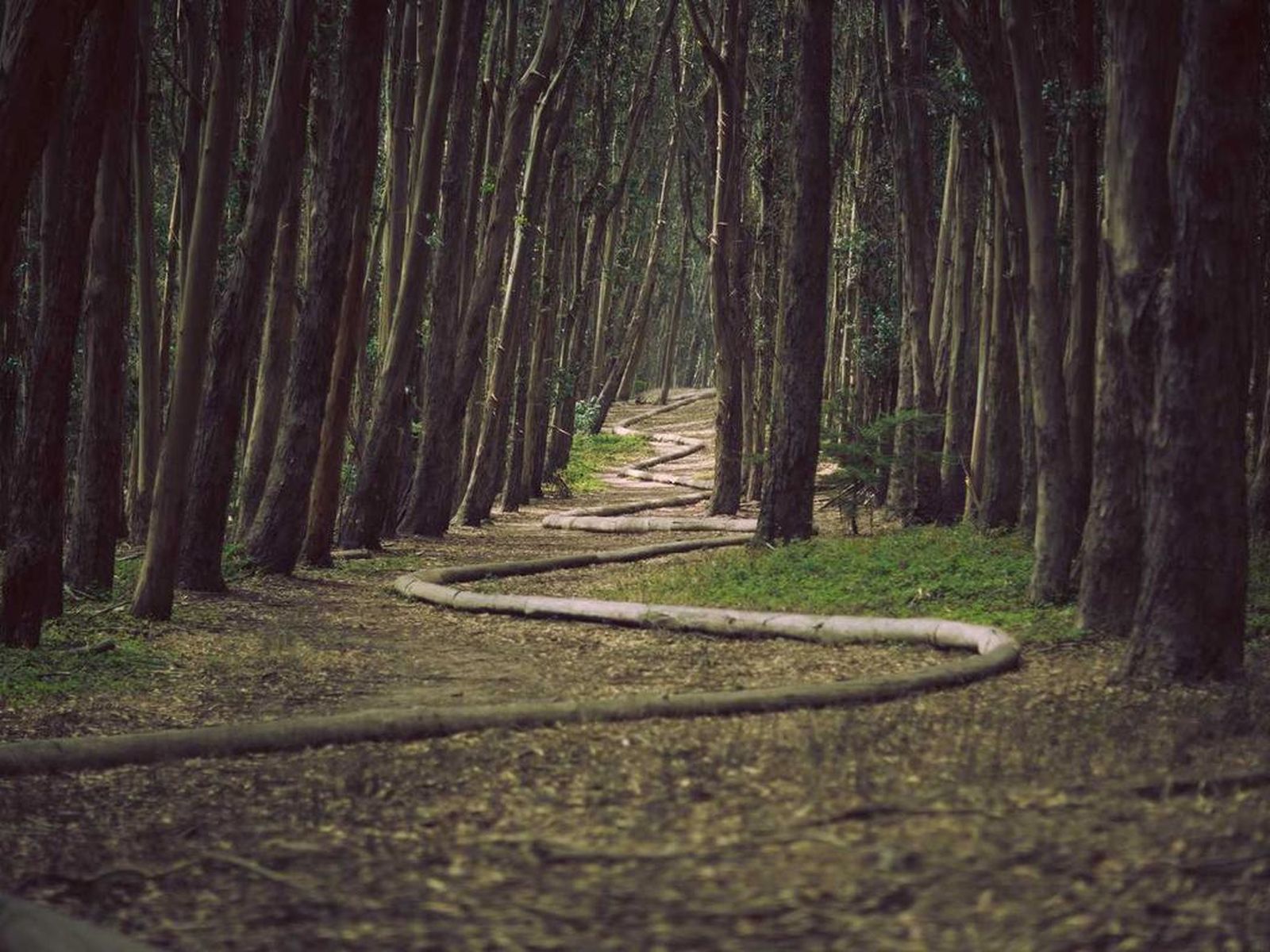 QA Images Multiple Images