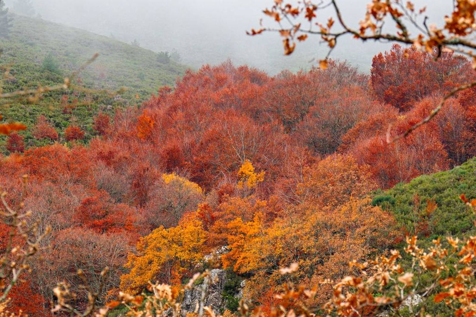 Fotogalería con 100 img