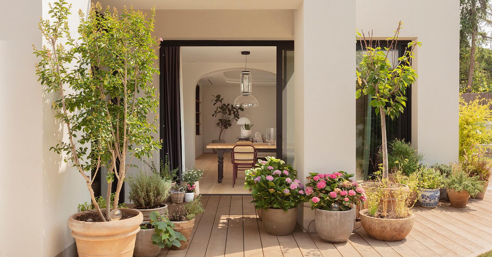 Fotogalería con 100 img