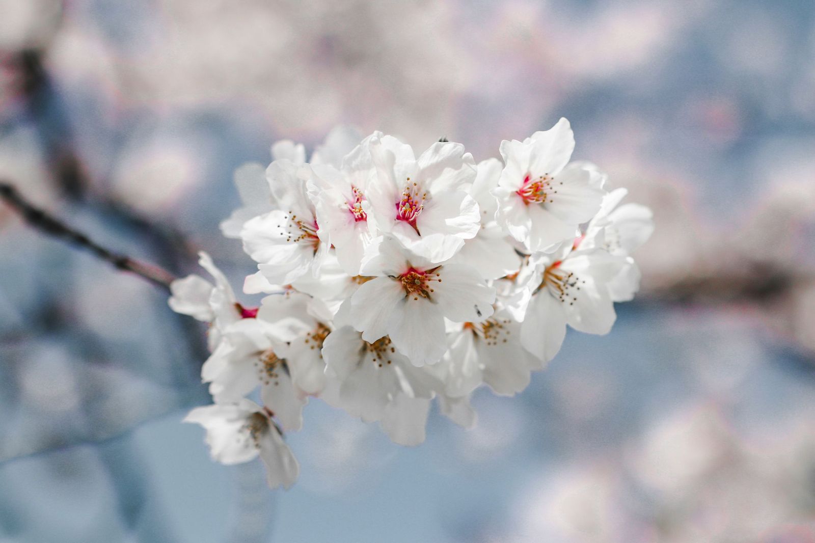 kenn-reynon-YG78b5QZYRM-unsplash