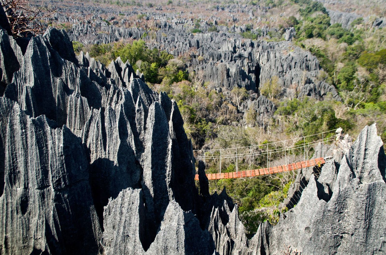 Las imágenes del día: 10 de marzo