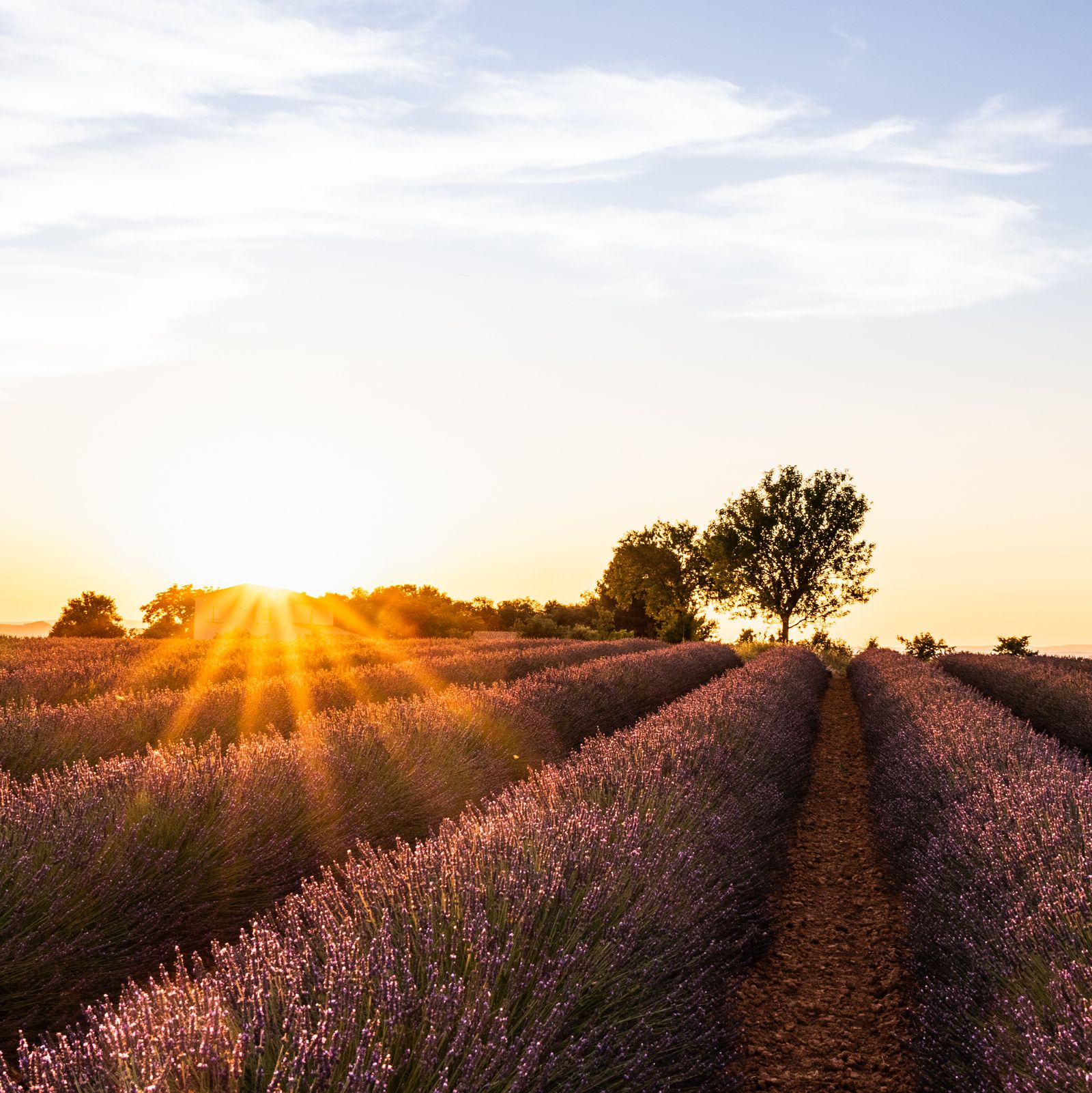 Best destinations for 2024