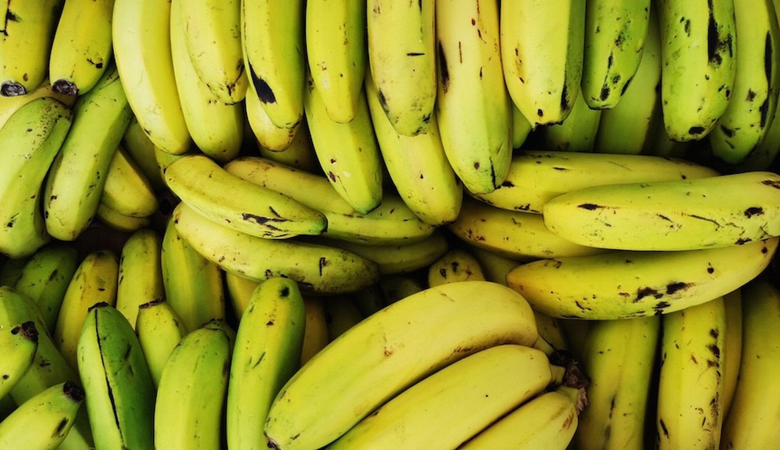 canarias la palma gastronomia platanos