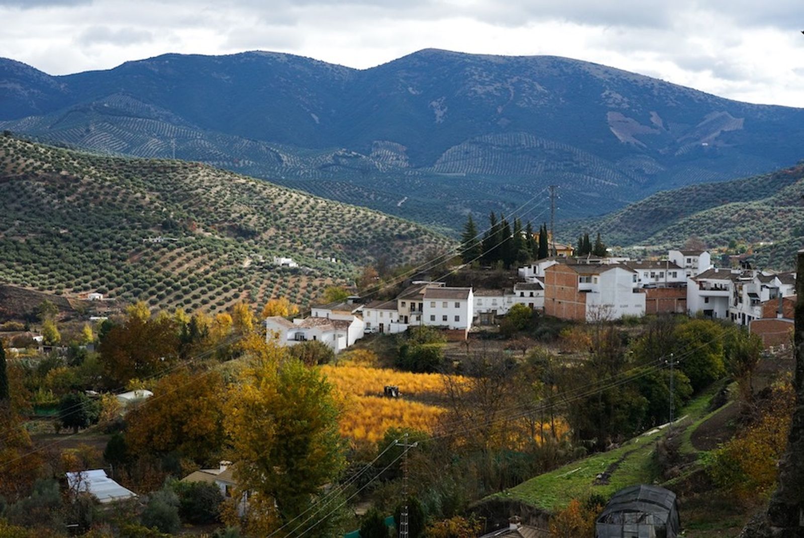 Las imágenes del 8M: Día de la Mujer