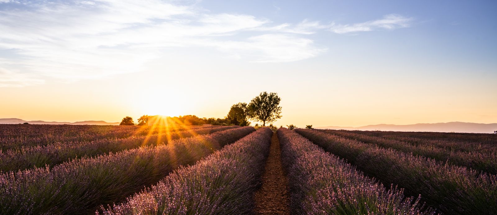 Best destinations for 2024