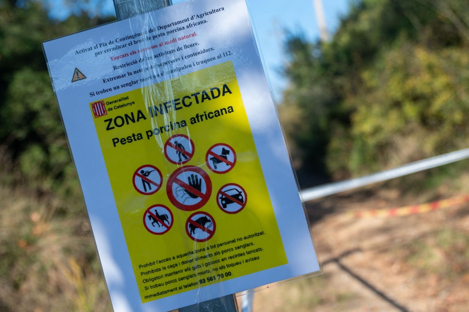 Cartell d'alerta de zona infectada per la pesta porcina africana al Parc de Collserola.