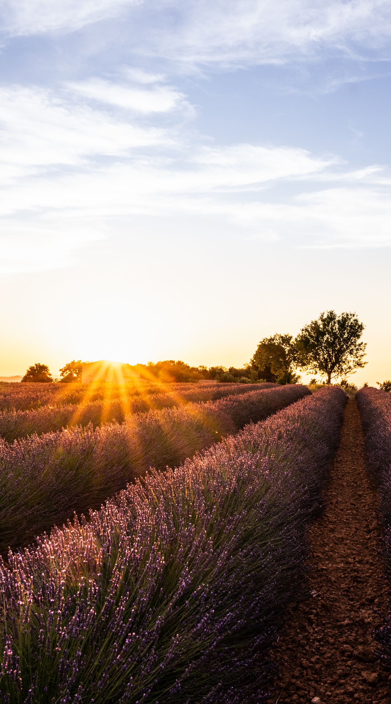 Best destinations for 2024