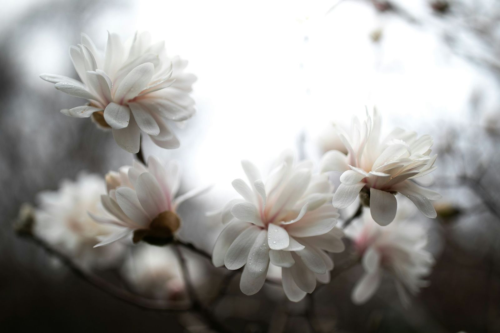 maddy-hunt-Fj6bN_DV0P0-unsplash