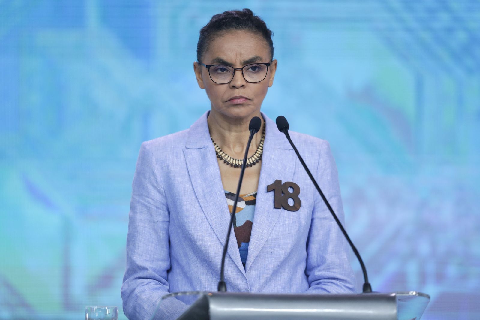 Exministros brasileños acuden al Congreso para frenar la destrucción de la Amazonía